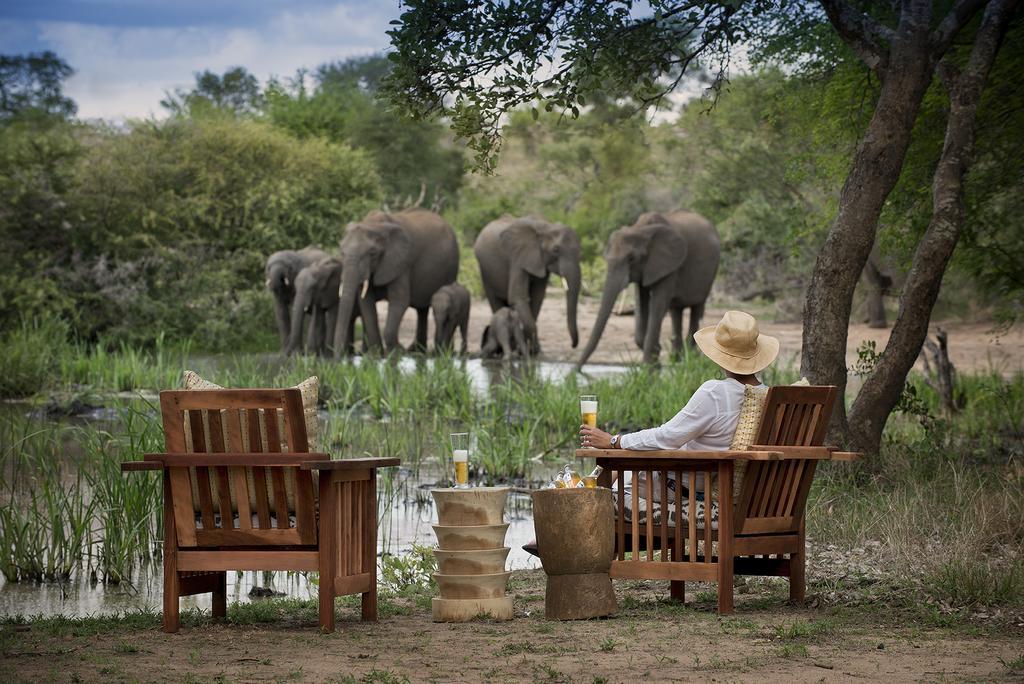 Villa Tanda Tula Safari Camp à Timbavati Game Reserve Extérieur photo